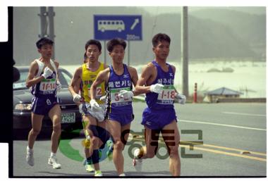 도지사기 중부매일 마라톤대회 사진