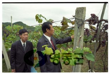 군수순회 이장회의 (양산면) 사진