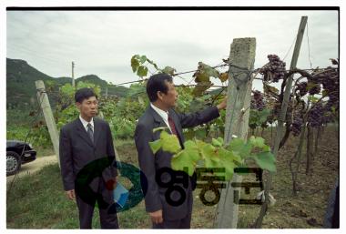 군수순회 이장회의 (양산면) 사진