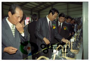 학산포도축제 및 새농민대회 사진