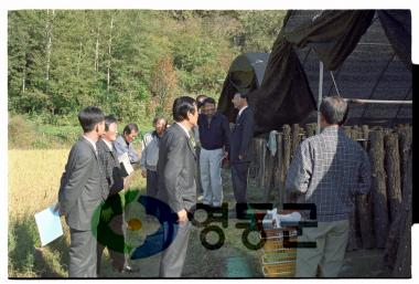 군수주재 이장회의 (학산면) 사진