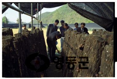 군수주재 이장회의 (학산면) 사진