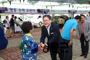 2019.8.29 ~ 9.1 영동포도축제 사진