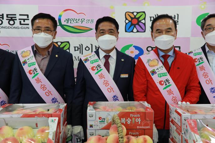 2022.07.28 영동과일 한마당축제 사진