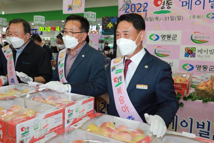 2022.07.28 영동과일 한마당축제 사진